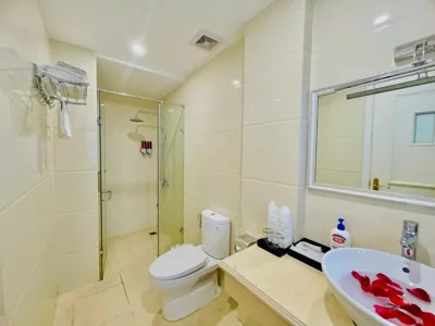 Diamond Hotel Ha Noi – 照片 14